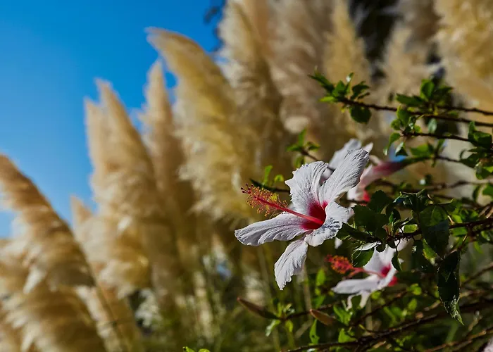 Galaxy Naxos Hotel 4*
