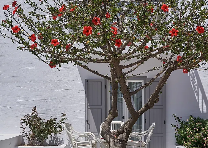 Galaxy Naxos Naxos City